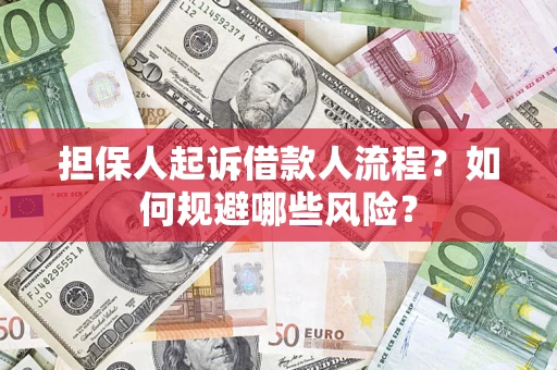 北京担保人起诉借款人流程？如何规避哪些风险？