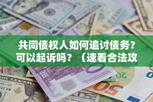 北京共同债权人如何追讨债务？可以起诉吗？（速看合法攻略）
