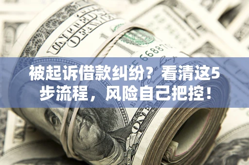 北京被起诉借款纠纷？看清这5步流程，风险自己把控！