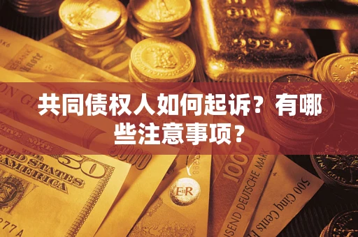 北京共同债权人如何起诉？有哪些注意事项？
